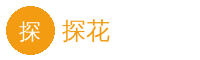 探花